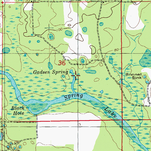 Topographic Map of Gadsen Spring, FL