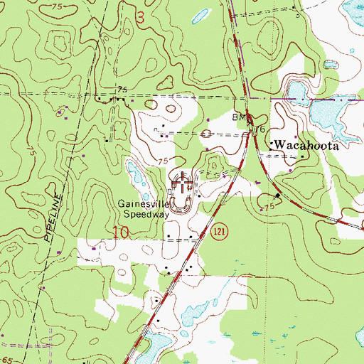 Topographic Map of Gainesville Speedway, FL