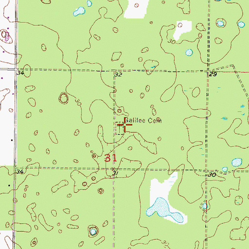 Topographic Map of Galilee Cemetery, FL