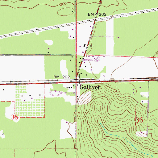 Topographic Map of Galliver, FL