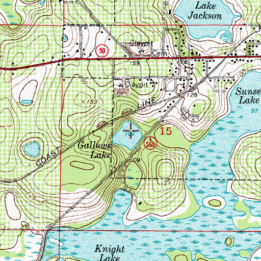 Topographic Map of Gallows Lake, FL