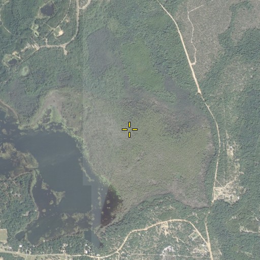 Aerial/Satellite Image of Gap Lake Swamp, FL