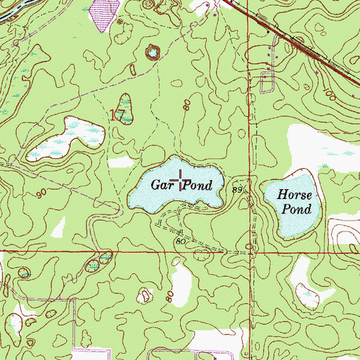 Topographic Map of Gar Pond, FL
