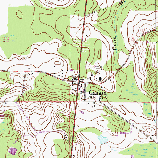 Topographic Map of Gaskin, FL