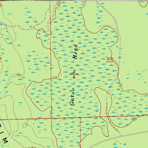 Topographic Map of Gator Head, FL