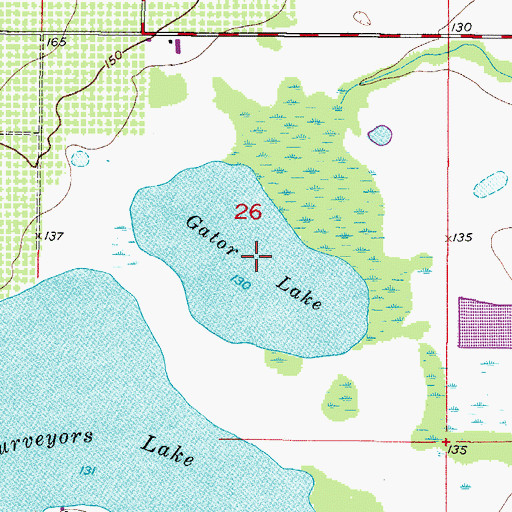 Topographic Map of Gator Lake, FL