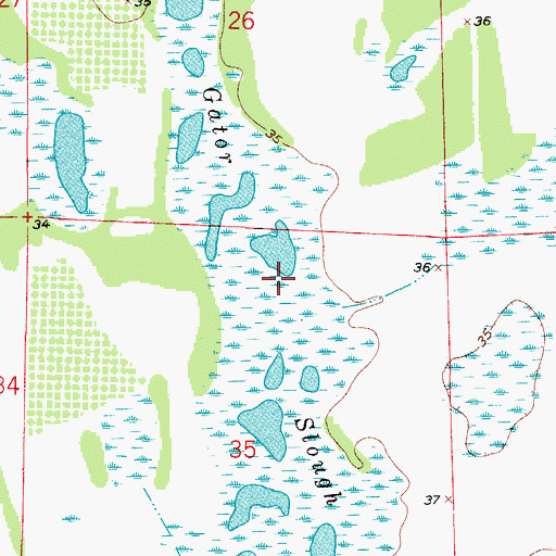 Topographic Map of Gator Slough, FL