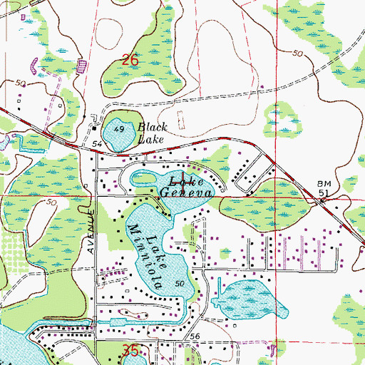 Topographic Map of Lake Geneva, FL