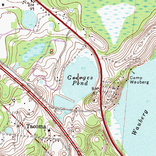 Topographic Map of Georges Pond, FL