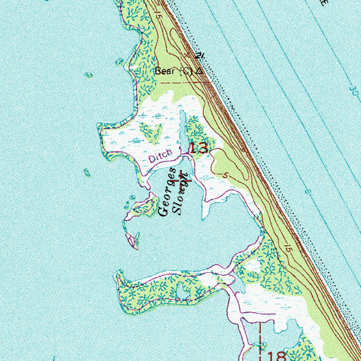Topographic Map of Georges Slough, FL