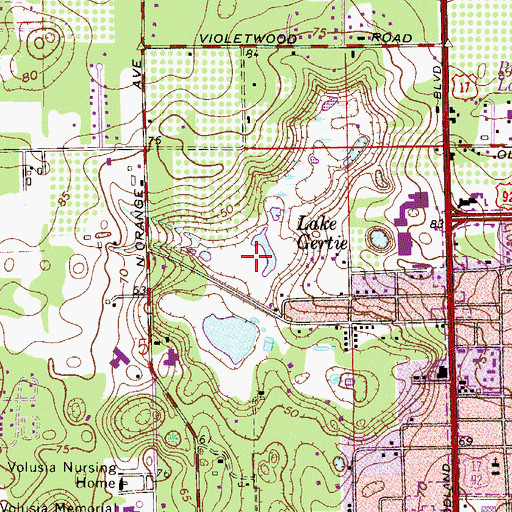 Topographic Map of Lake Gertie, FL