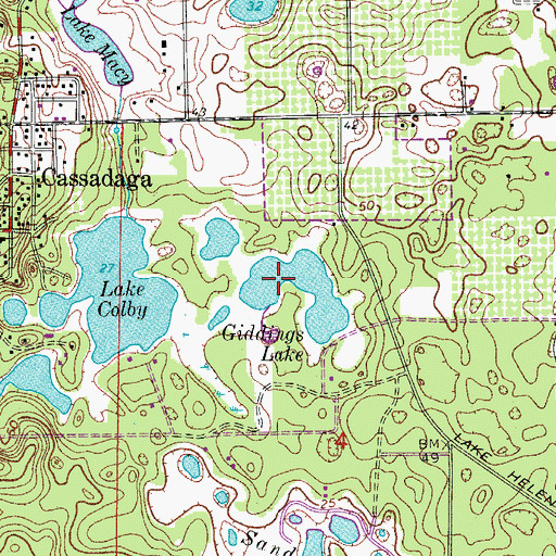 Topographic Map of Giddings Lake, FL