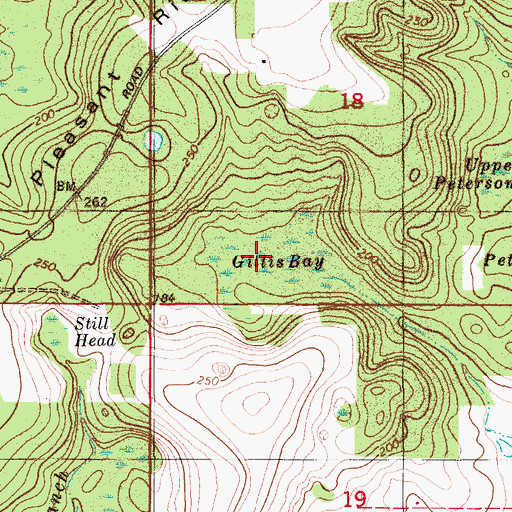 Topographic Map of Gillis Bay, FL
