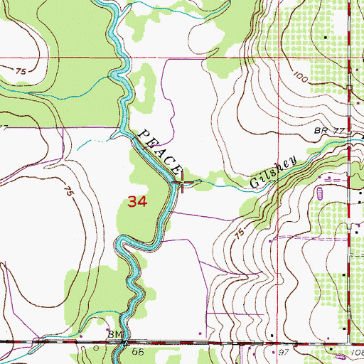 Topographic Map of Gilshey Branch, FL
