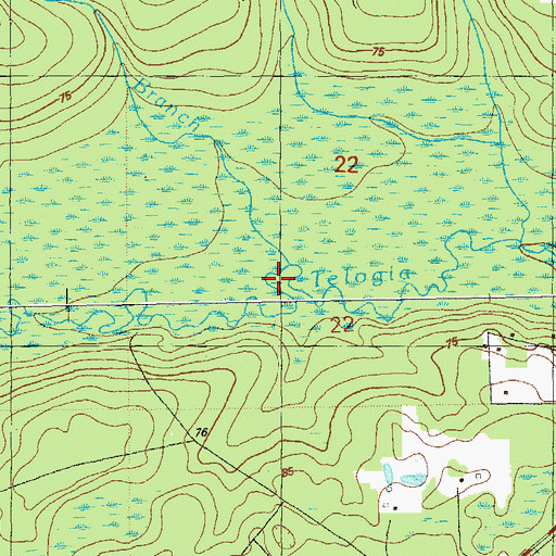Topographic Map of Gin Branch, FL