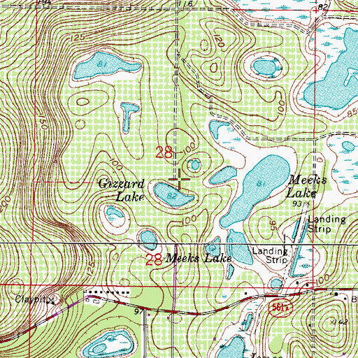 Topographic Map of Gizzard Lake, FL