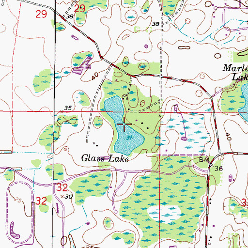 Topographic Map of Glass Lake, FL
