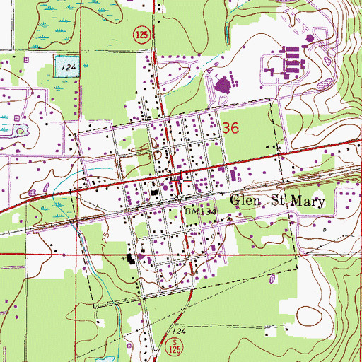 Topographic Map of Glen Saint Mary, FL