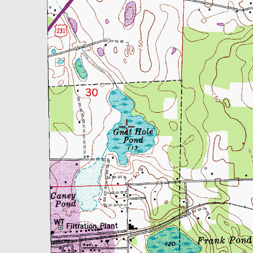 Topographic Map of Gnat Hole Pond, FL
