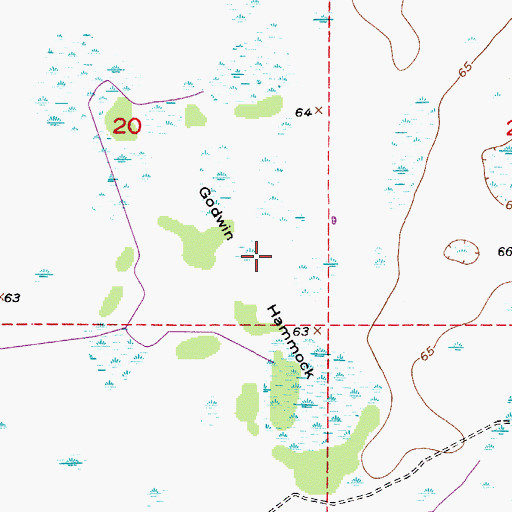 Topographic Map of Godwin Hammock, FL