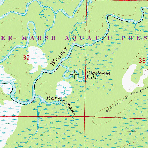 Topographic Map of Goggle-Eye Lake, FL