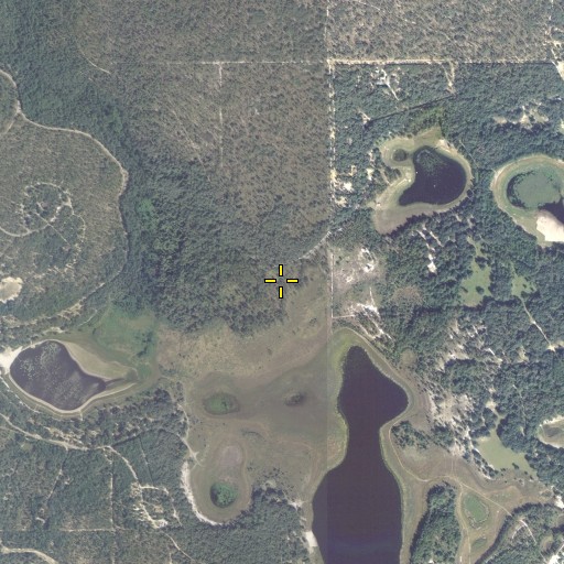 Aerial/Satellite Image of Gold Head Branch, FL