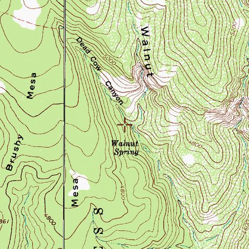 Topographic Map of Dead Cow Canyon, AZ