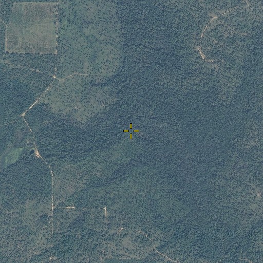 Aerial/Satellite Image of Goodson Creek, FL