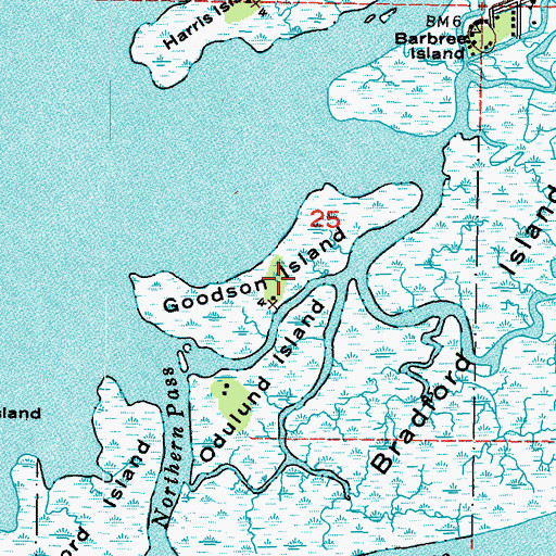 Topographic Map of Goodson Island, FL