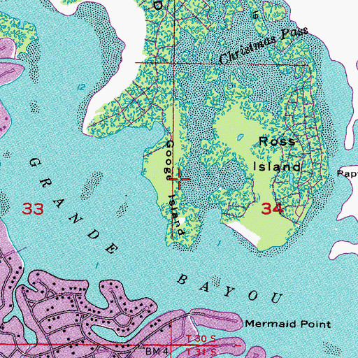 Topographic Map of Googe Island, FL