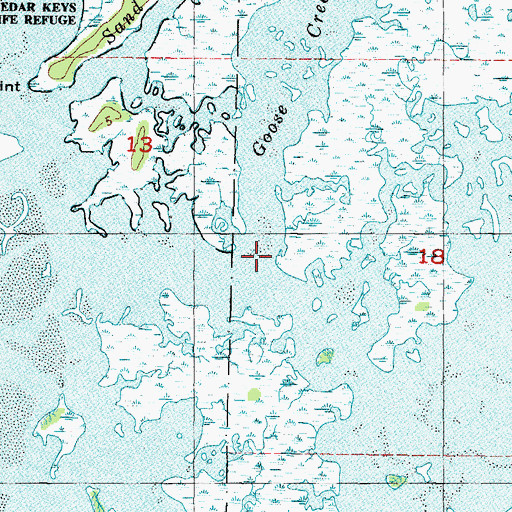 Topographic Map of Goose Creek, FL