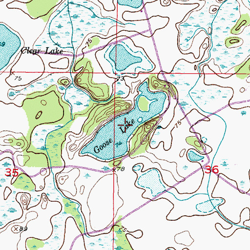 Topographic Map of Goose Lake, FL
