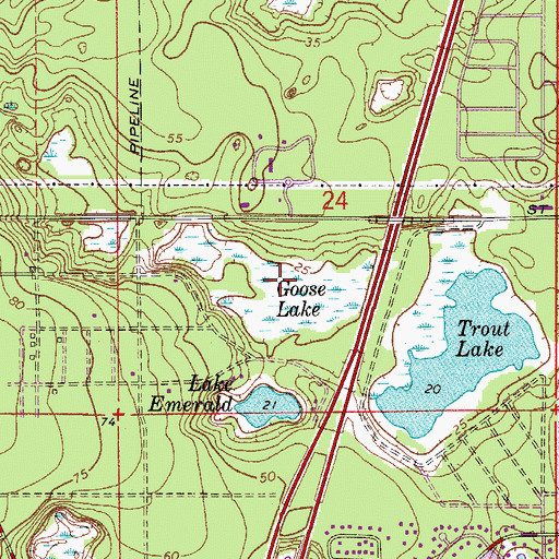 Topographic Map of Goose Lake, FL