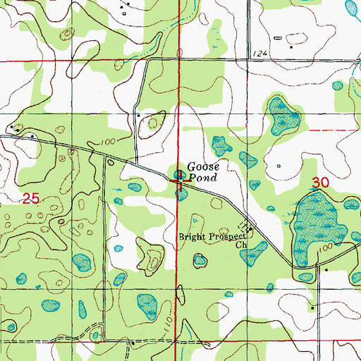 Topographic Map of Goose Pond, FL