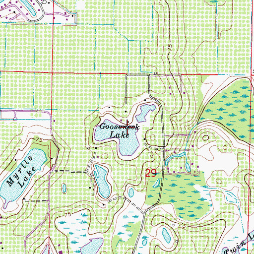 Topographic Map of Gooseneck Lake, FL