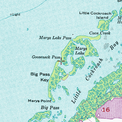 Topographic Map of Gooseneck Pass, FL