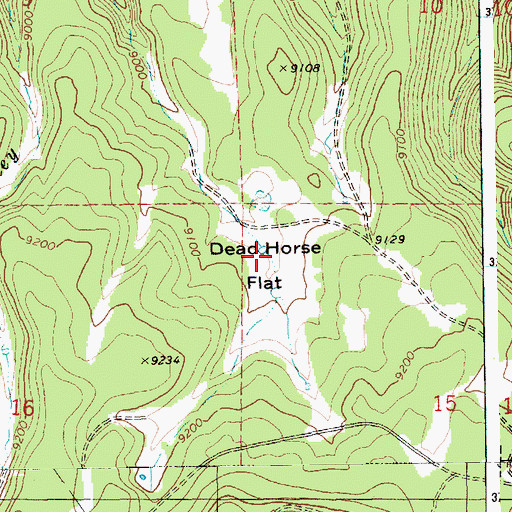 Topographic Map of Dead Horse Flat, AZ