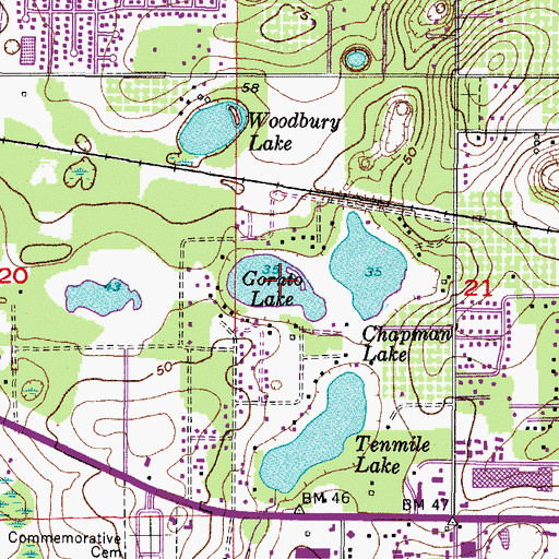 Topographic Map of Gornto Lake, FL