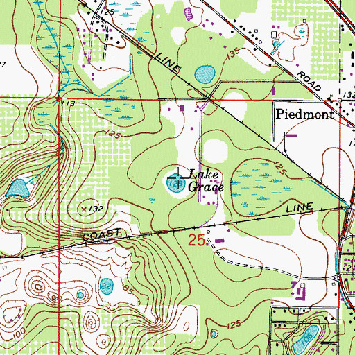 Topographic Map of Lake Grace, FL