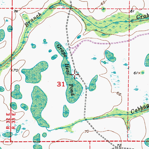 Topographic Map of Grape Head Pond, FL
