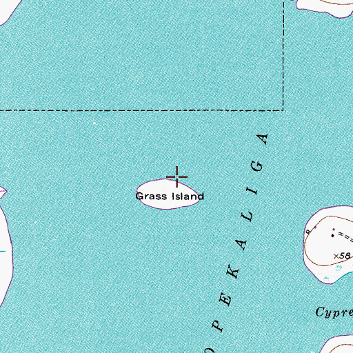 Topographic Map of Grass Island, FL