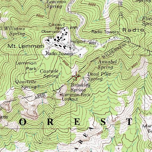 Topographic Map of Dead Pine Spring, AZ