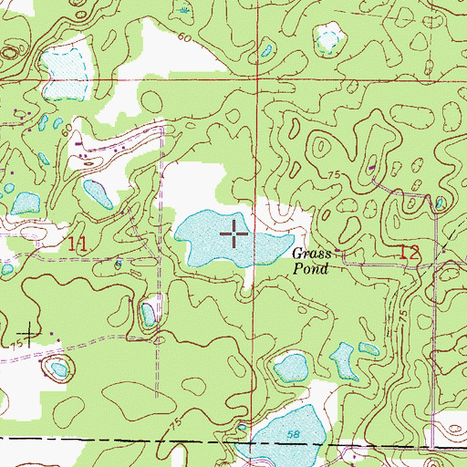 Topographic Map of Grass Pond, FL