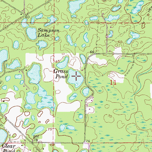 Topographic Map of Grass Pond, FL