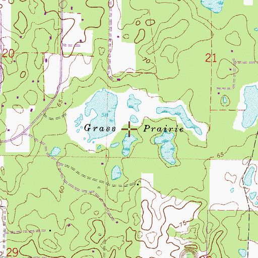 Topographic Map of Grass Prairie, FL