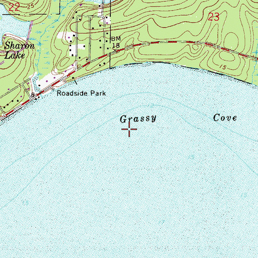 Topographic Map of Grassy Cove, FL