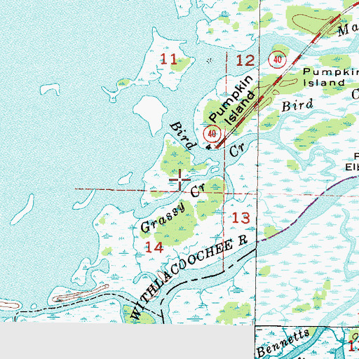 Topographic Map of Grassy Creek, FL