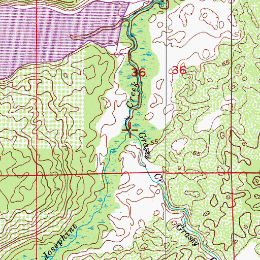 Topographic Map of Grassy Creek, FL