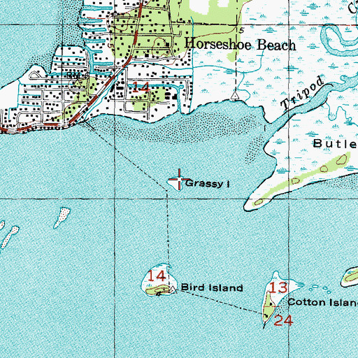 Topographic Map of Grassy Island, FL
