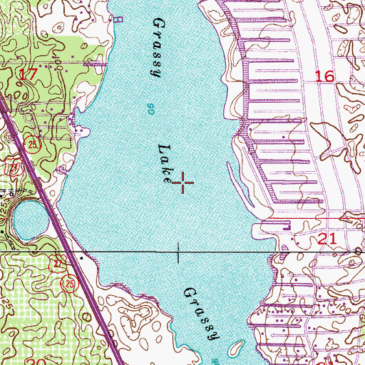 Topographic Map of Grassy Lake, FL